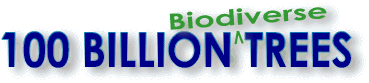 100 Billion B Trees